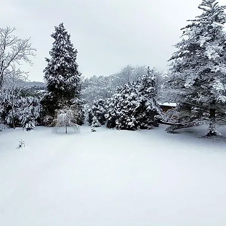 Roulotte La Verdine 3* Dury (Aisne)