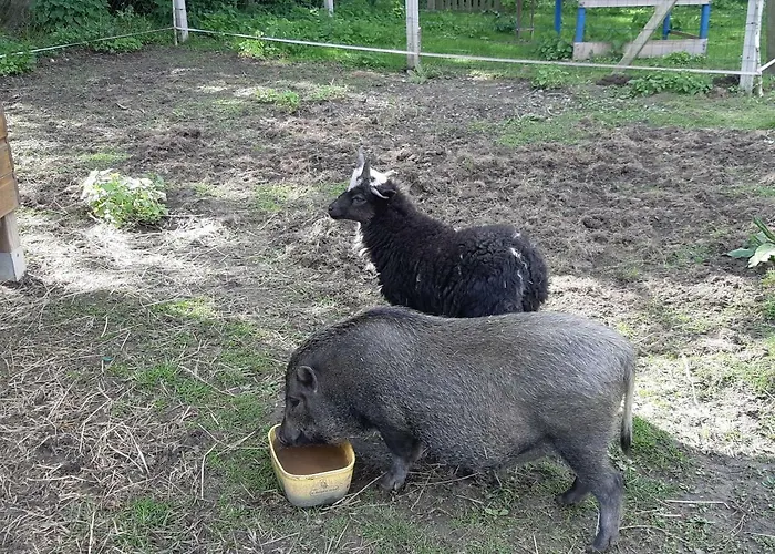 Couette-café Roulotte La Verdine 3*